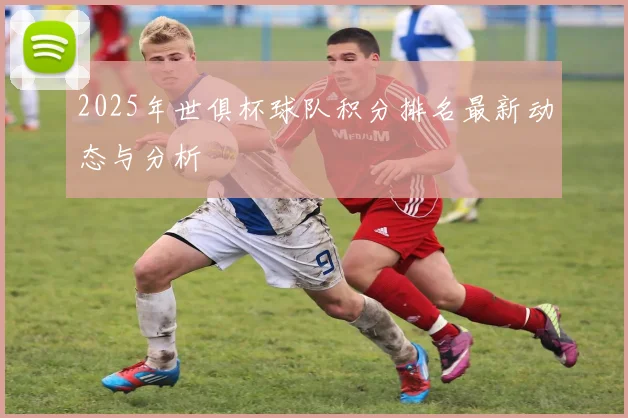 2025年世俱杯球队积分排名最新动态与分析
