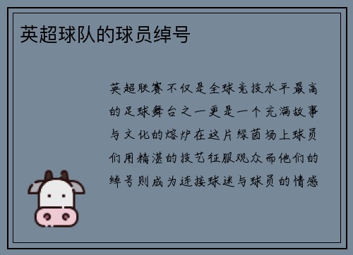 英超球队的球员绰号
